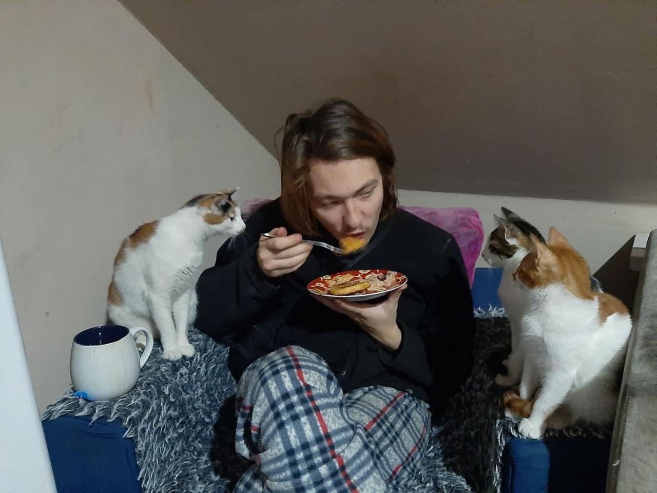 Everyday Cat Hostel バトゥーミ エクステリア 写真