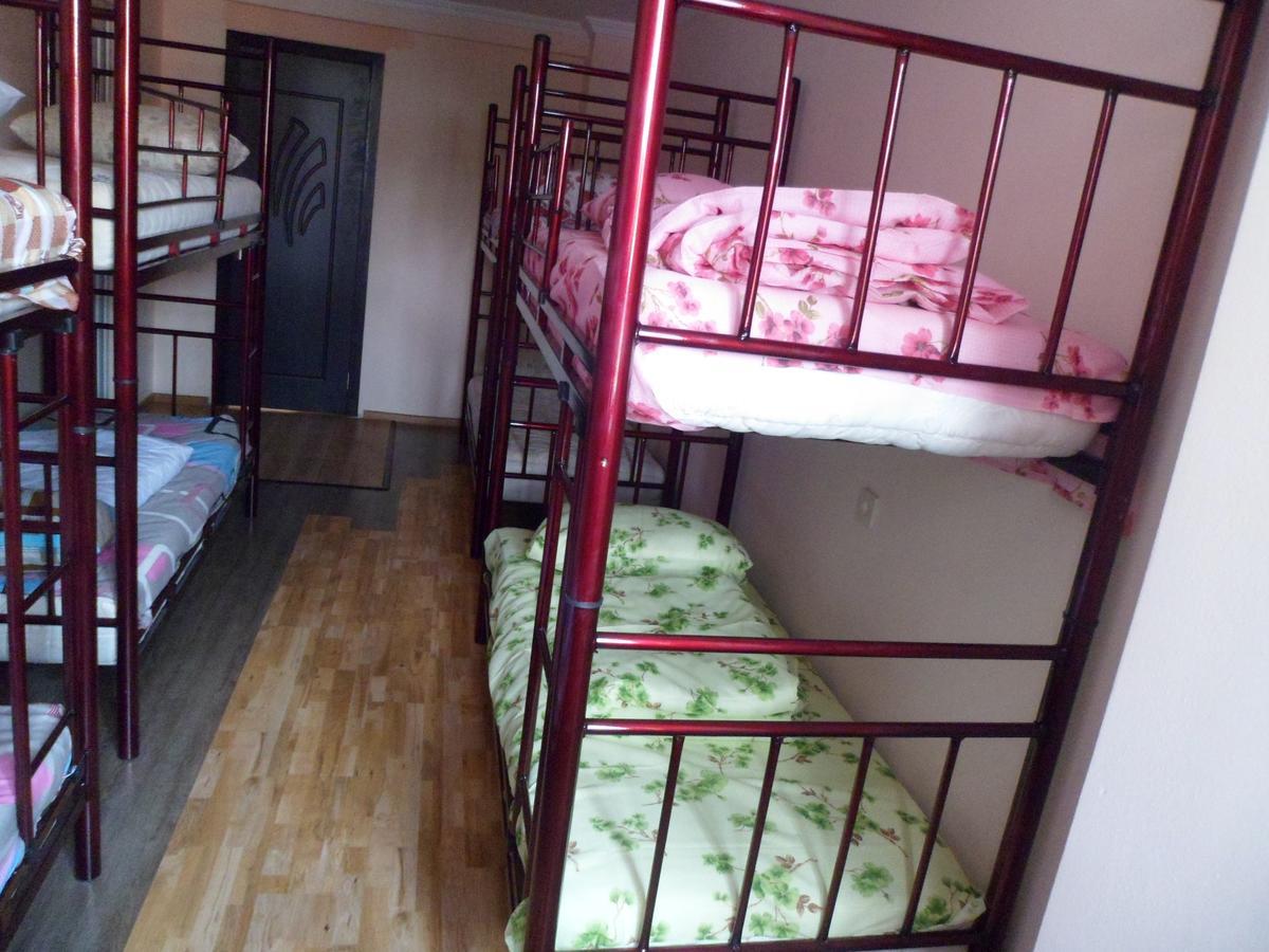 Everyday Cat Hostel バトゥーミ エクステリア 写真