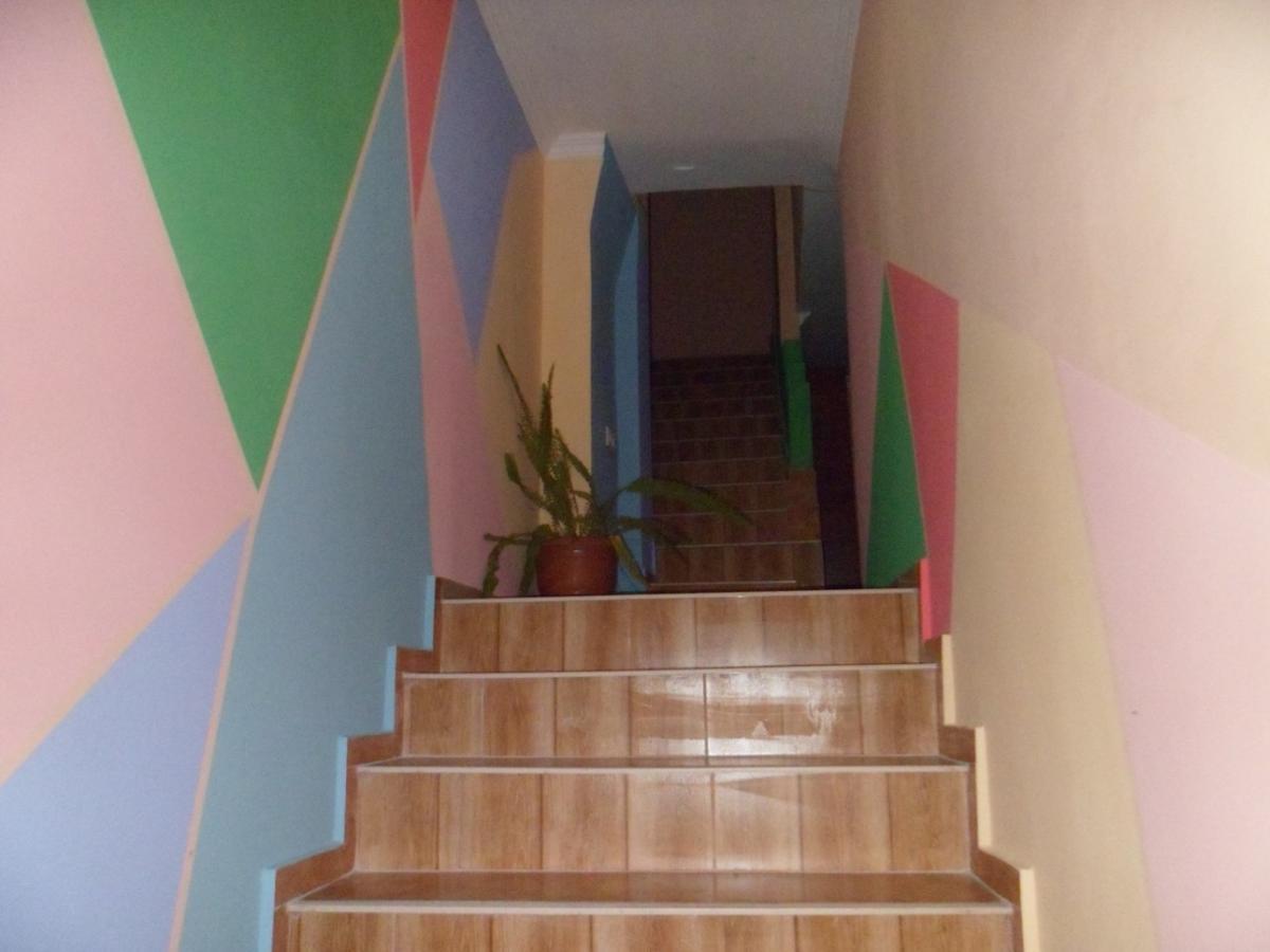 Everyday Cat Hostel バトゥーミ エクステリア 写真
