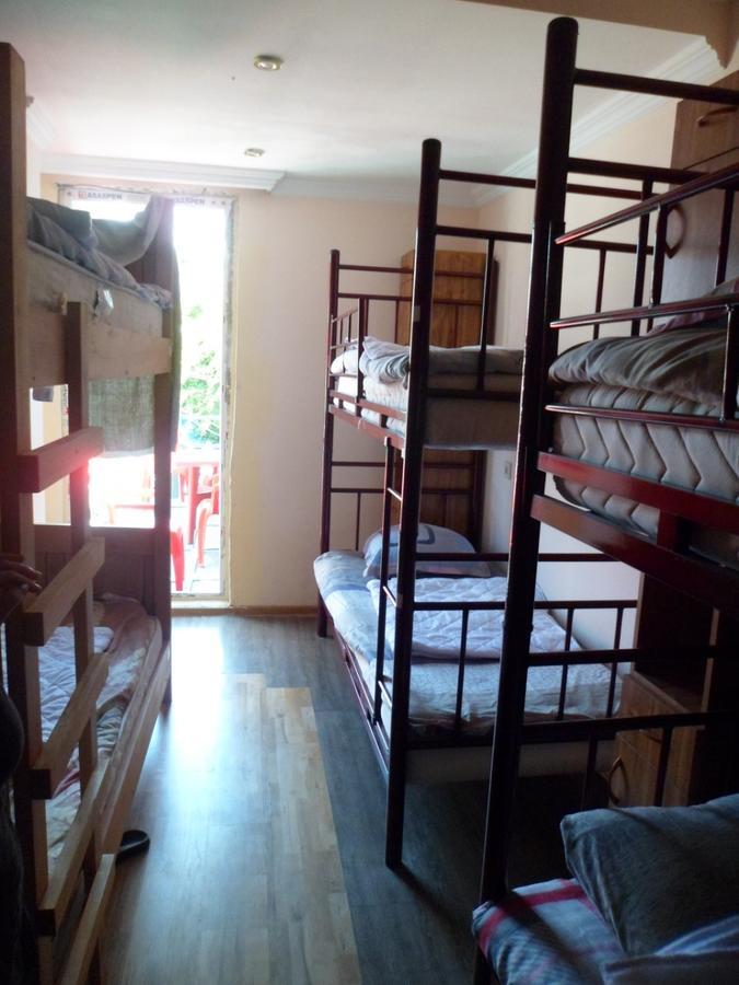 Everyday Cat Hostel バトゥーミ エクステリア 写真