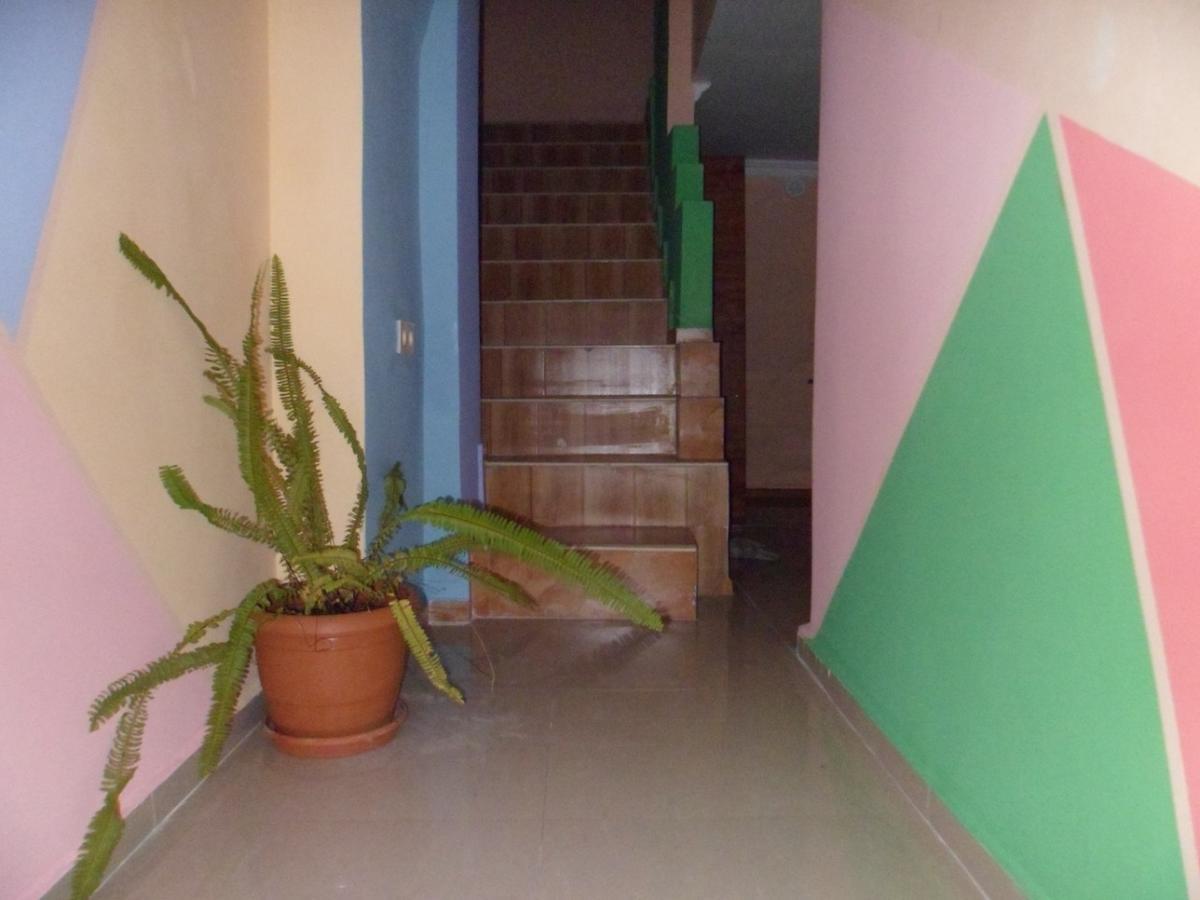 Everyday Cat Hostel バトゥーミ エクステリア 写真